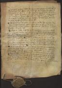 Traslado de 12 capítulos gerais das Cortes de Lisboa de 1459, feito a requerimento dos procuradores do concelho de Ponte de Lima, Pero Malheiro e Diego Lopez