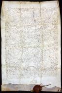 Carta de sentença dos embargos postos pela Câmara de Ponte de Lima a um alvará dado por D. Manuel I ao concelho de Viana