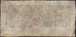 Carta régia de D. Afonso V, na qual se contém as respostas a dois capítulos de entre outros que lhe foram dirigidos pelos moradores e vizinhos da vila de Ponte de Lima