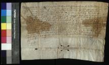 Carta de mercê do rei D. Fernando, pela qual coloca sob jurisdição de Ponte de Lima alguns julgados limítrofes