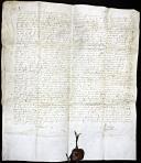 Carta de sentença a favor do concelho de Ponte de Lima e contra os filhos do Visconde de Vila Nova de Cerveira