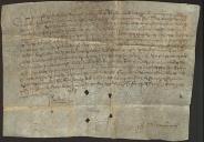 Resposta do rei D. João I a um dos capítulos especiais que lhe foram apresentados pelo concelho de Ponte de Lima nas cortes de Évora